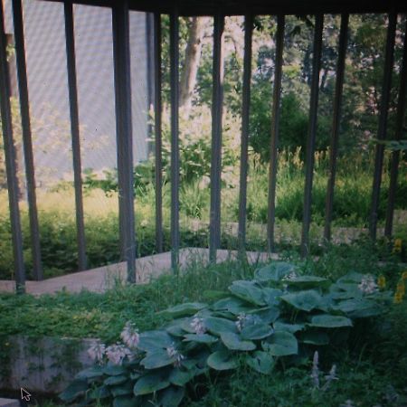 Avliving City Flat Basel With Roof Garden Extérieur photo