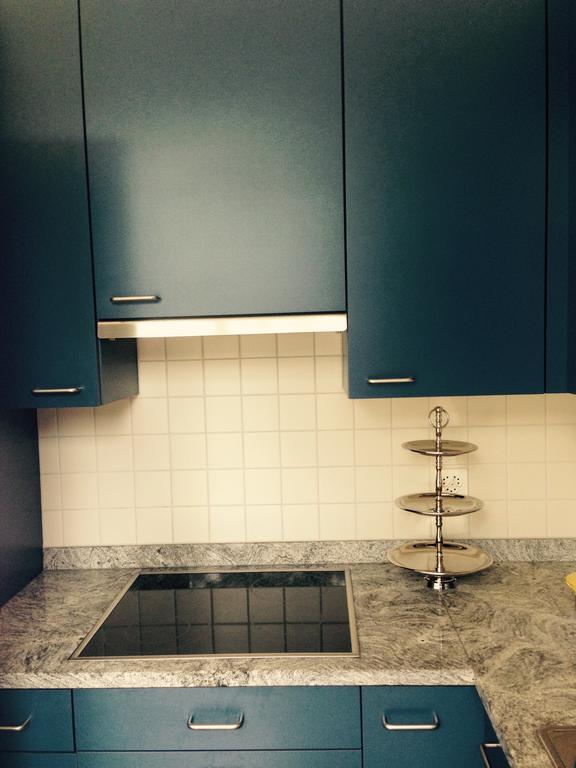 Avliving City Flat Basel With Roof Garden Extérieur photo