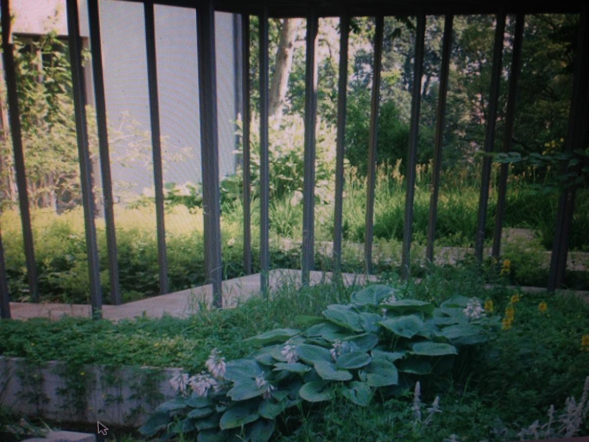 Avliving City Flat Basel With Roof Garden Extérieur photo